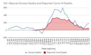 SAMRC excess deaths PANDA